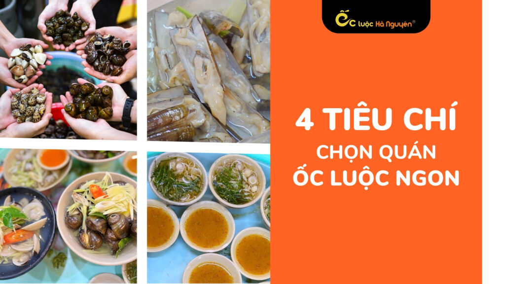 4-tieu-chi-chon-quan-oc-luoc-ngon