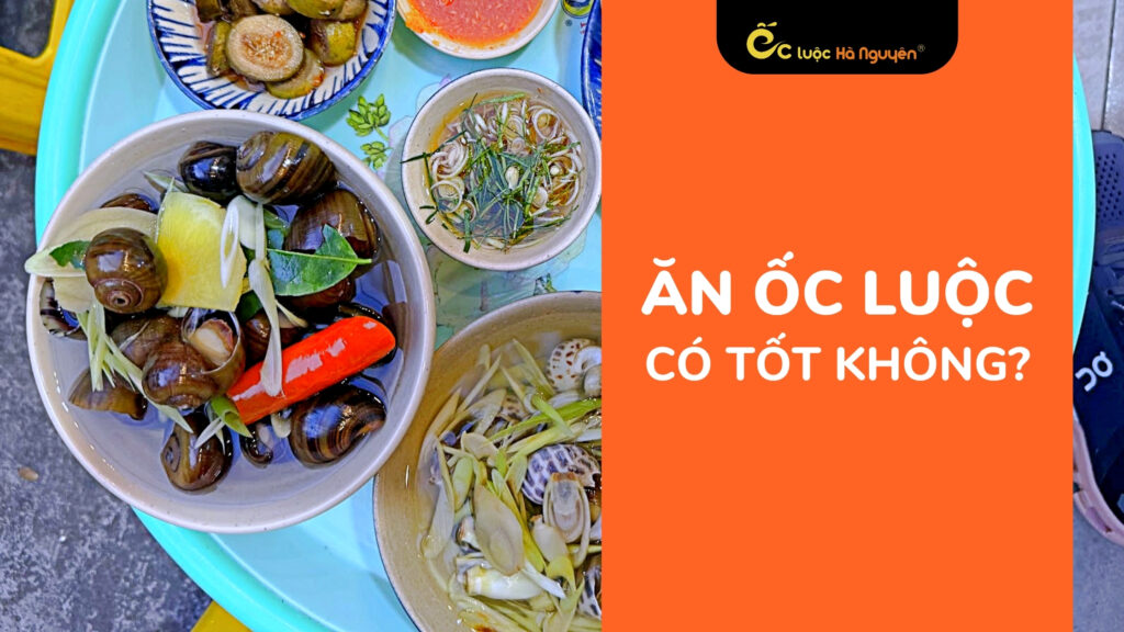 an-oc-luoc-co-tot-khong