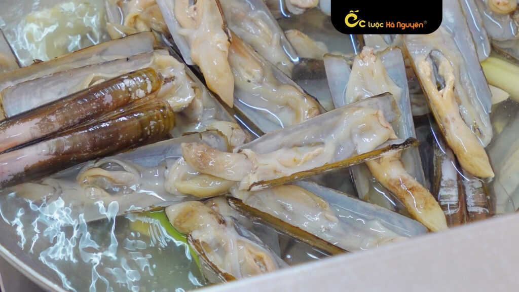 an-oc-luoc-co-tot-khong