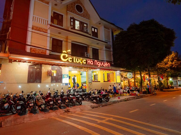 oc-luoc-ha-nguyen-binh-tan
