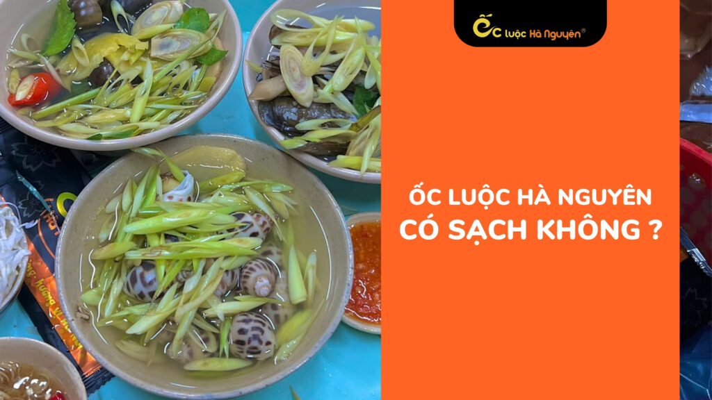 oc-luoc-ha-nguyen-co-sach-khong