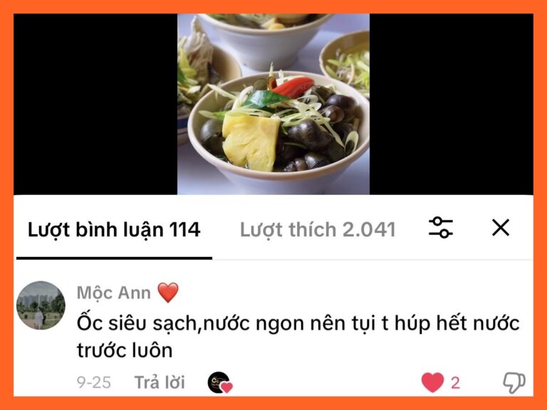 feedback-oc-luoc-ha-nguyen