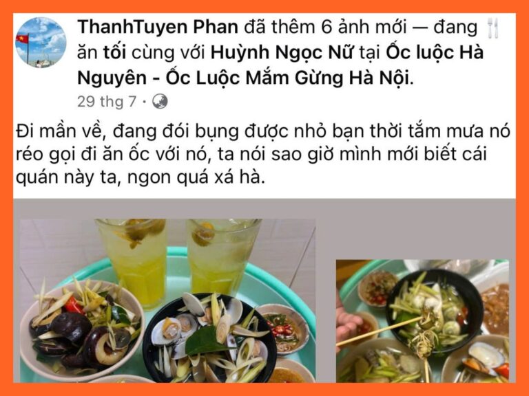 feedback-oc-luoc-ha-nguyen