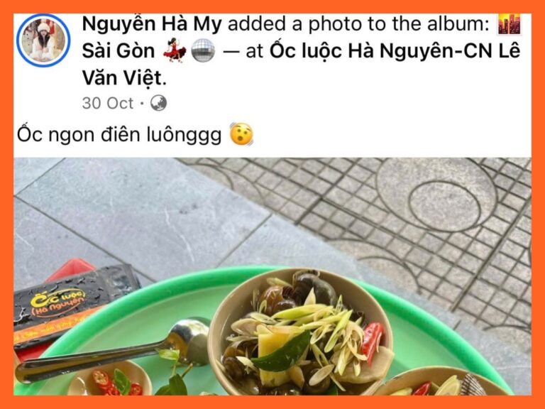 feedback-oc-luoc-ha-nguyen