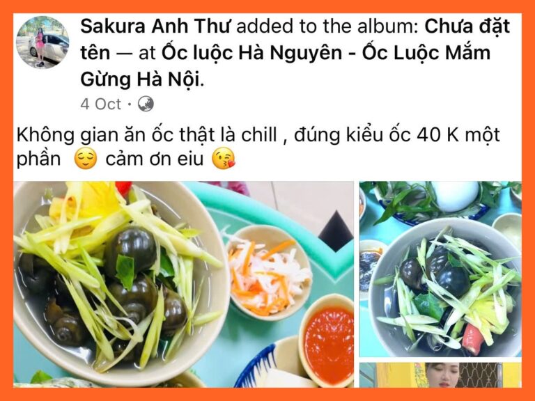 feedback-oc-luoc-ha-nguyen